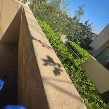 home-page-before-after-gallery 1