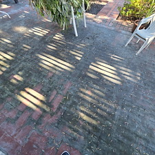 Amazing-Patio-Transformation-Years-of-Dirt-Organic-Growth-Removed 2