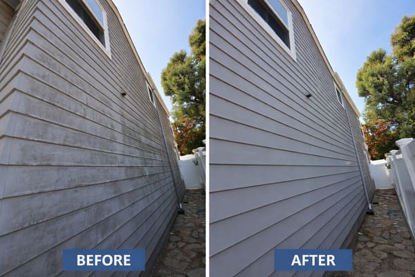 Long beach algae mold removal